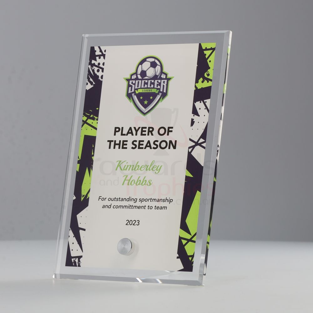Soccer Team Colours Plaque V3 150mm